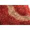 Roter Teppich ALOES mit Mustern