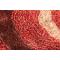 Roter Teppich ALOES mit Mustern