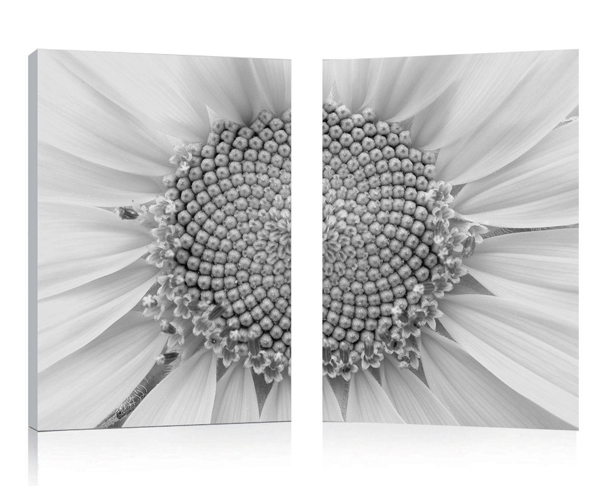 Satz von 2 Design Gem&auml;lden DAISY