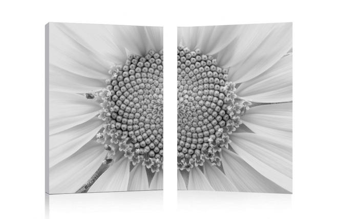 Satz von 2 Design Gem&auml;lden DAISY