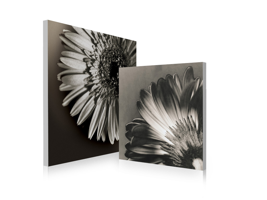 Satz von 2 Design Gem&auml;lden FLOWERS