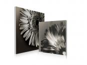 Satz von 2 Design Gem&auml;lden FLOWERS
