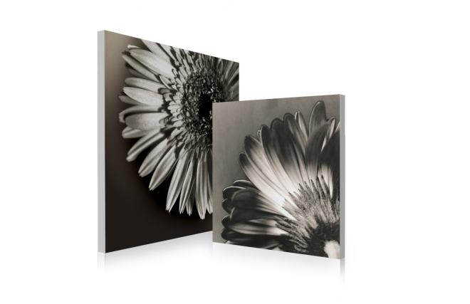 Satz von 2 Design Gem&auml;lden FLOWERS
