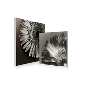 Satz von 2 Design Gem&auml;lden FLOWERS image pub1