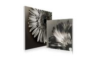 Satz von 2 Design Gem&auml;lden FLOWERS