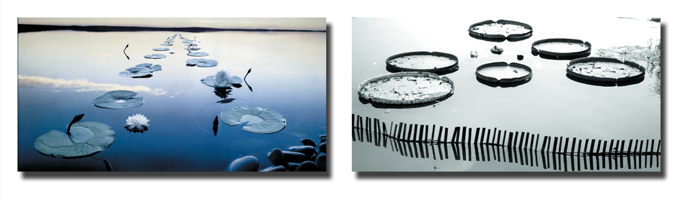 Satz von 2 Design Gem&auml;lden WATERLILY