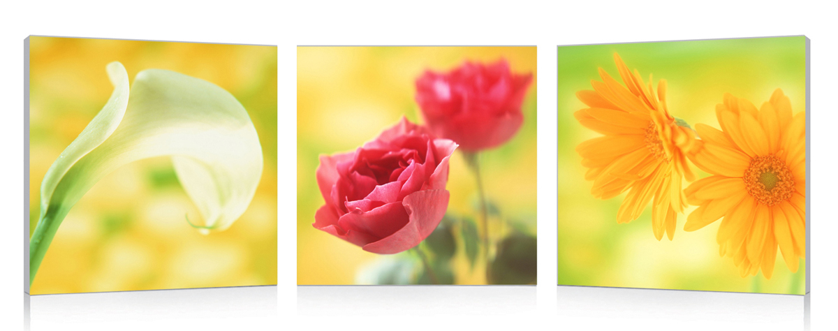Satz von 3 Design Gem&auml;lden NEW FLOWERS