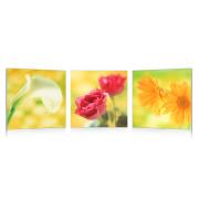 Satz von 3 Design Gem&auml;lden NEW FLOWERS image 1