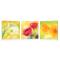 Satz von 3 Design Gem&auml;lden NEW FLOWERS