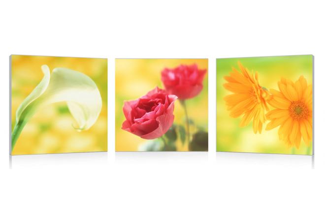 Satz von 3 Design Gem&auml;lden NEW FLOWERS