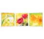 Satz von 3 Design Gem&auml;lden NEW FLOWERS