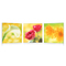 Satz von 3 Design Gem&auml;lden NEW FLOWERS