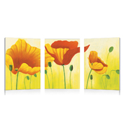 Satz von 3 Design Gem&auml;lden NEW POPPIES image pub1