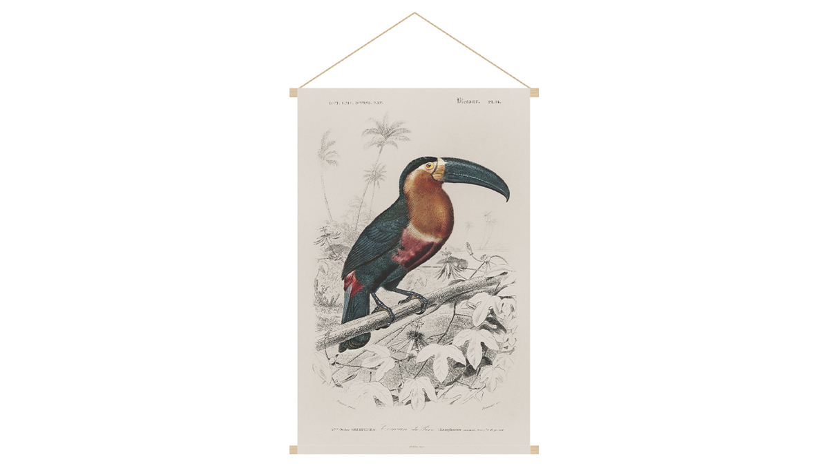 Kakemono Tukan L40 x B60 cm TOUCAN