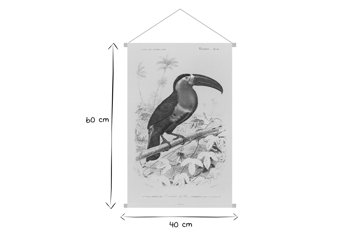 Kakemono Tukan L40 x B60 cm TOUCAN