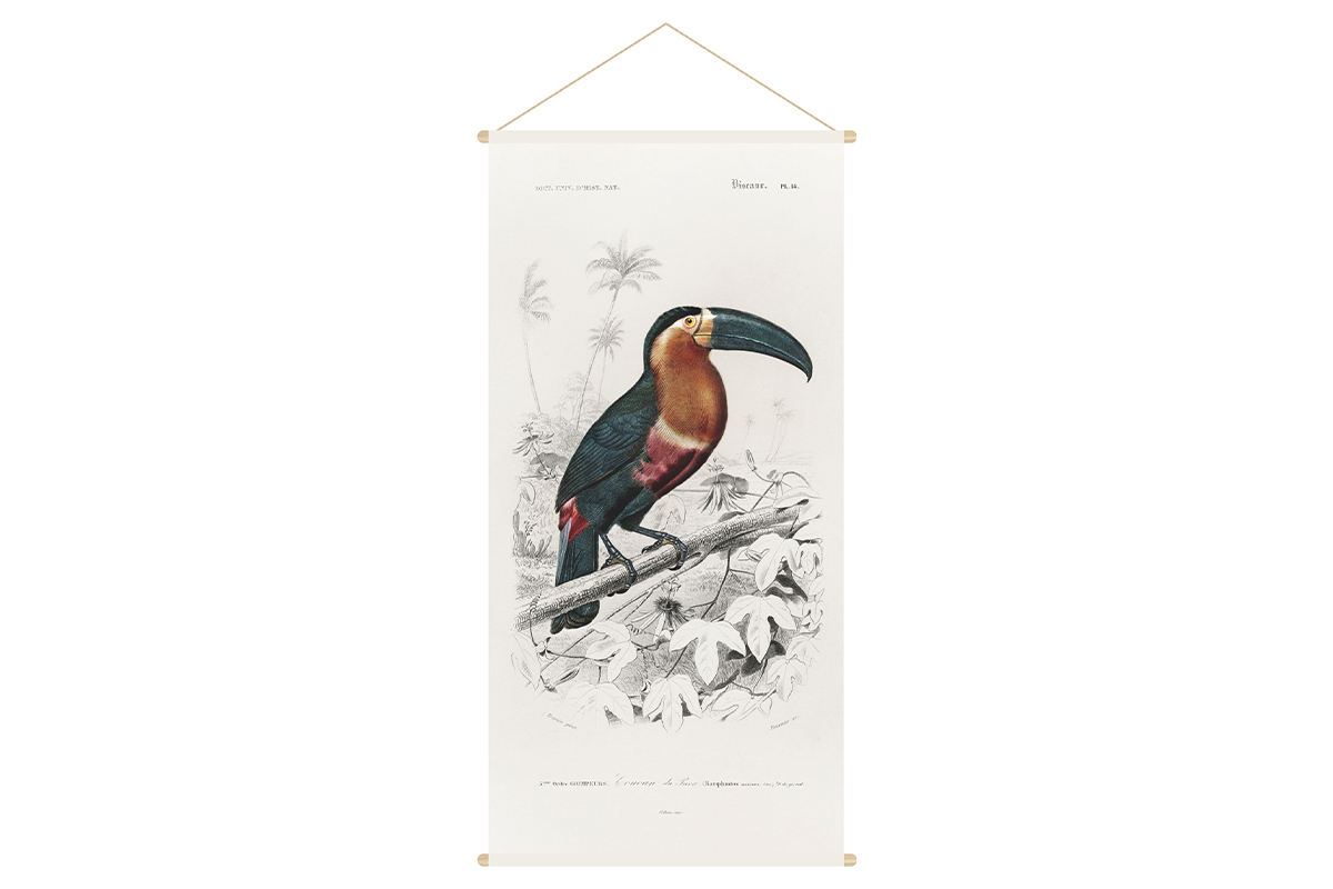 Kakemono Tukan L65 x B130 cm TOUCAN