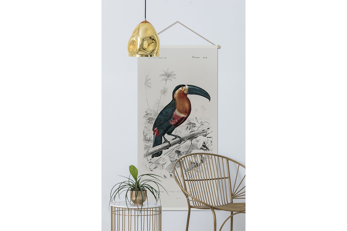 Kakemono Tukan L65 x B130 cm TOUCAN