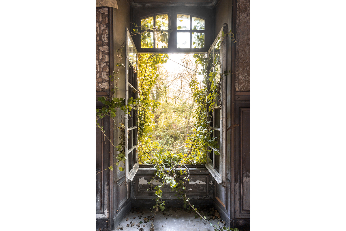 Plexiglasbild Natur L80 x B120 cm LIERE