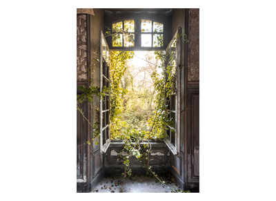 Plexiglasbild Natur L80 x B120 cm LIERE