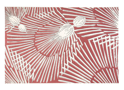 Teppich Koralle 120x170 cm TROPIC